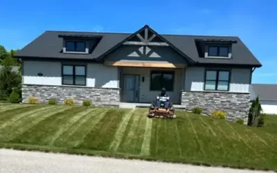 DIY vs Professional Yard Clean-Up