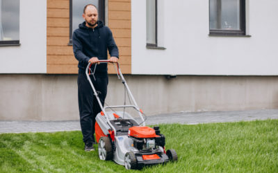The Essential Guide to the Importance of Tree Trimming