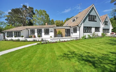Mesick’s Guide to Year-Round Lawn Care and Landscaping