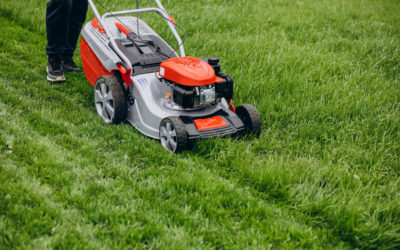 Why Regular Lawn Mowing Is Essential in Northern Michigan