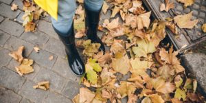spring and fall clean-up services kingsley mi