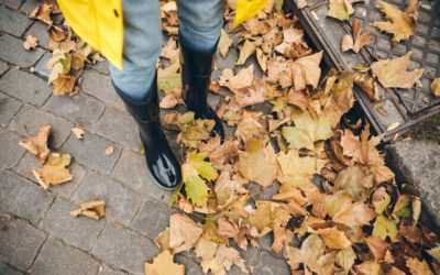 How Spring and Fall Clean-Up Services Improve Your Lawn in Kingsley, MI