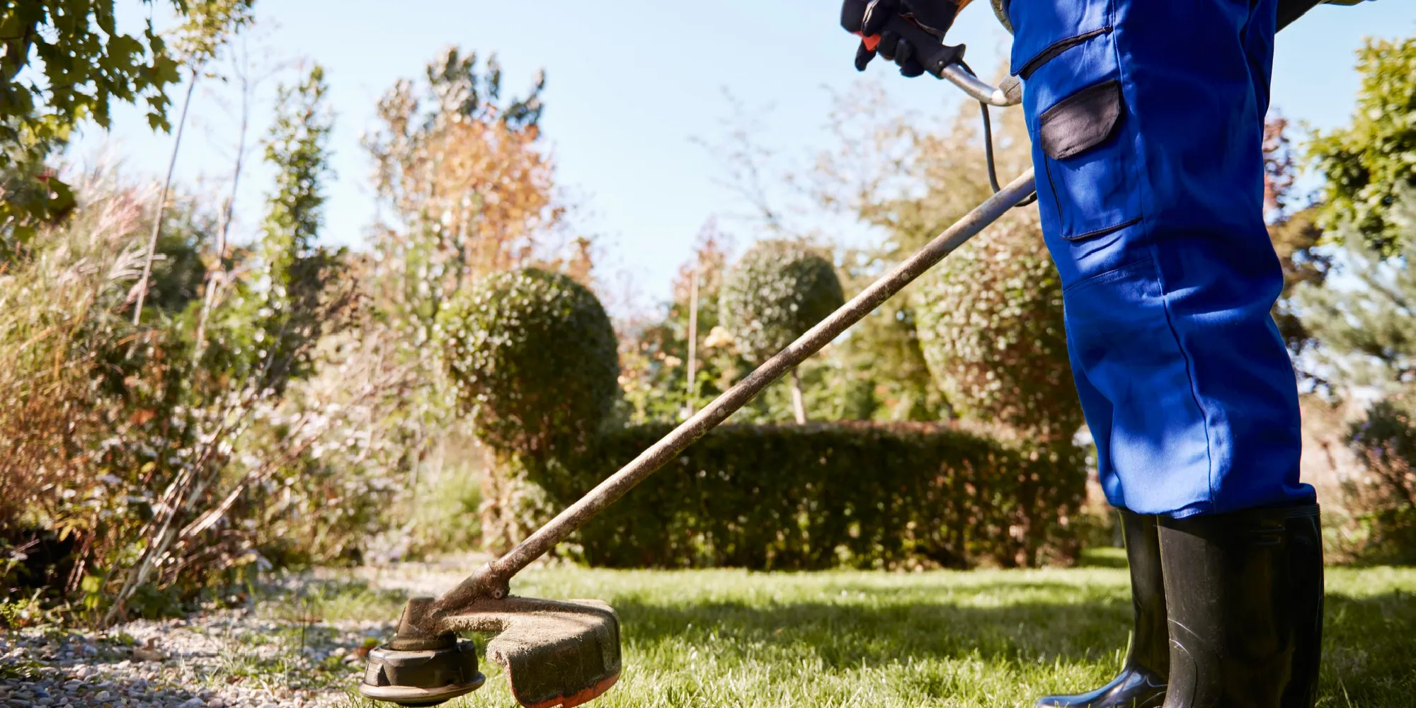 blog-lawncare Lawn care services Traverse City driveway maintenance